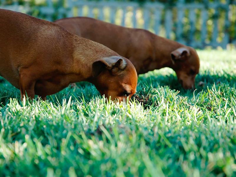 sudoku skill improvement screenshot 6